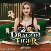 D Dragon Tiger Slot Game Image