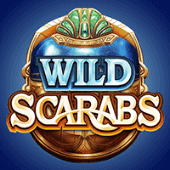 Wild Scarabs